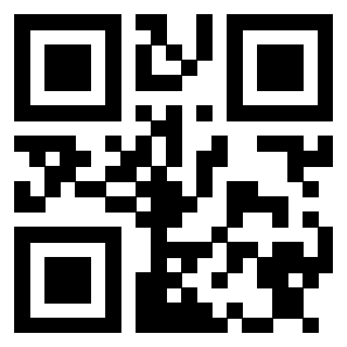 3913234431 QrCode associato