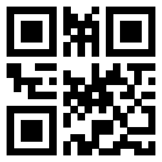 Il Qr Code di 3913234462
