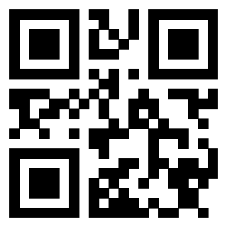 Il Qr Code di 3913234507