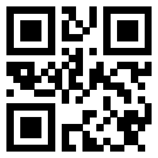 Il Qr Code di 3913236116