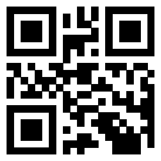 Il Qr Code di 3913236149