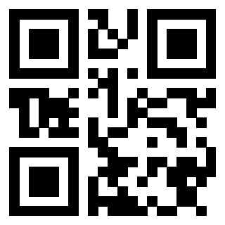 Il Qr Code di 3913236243