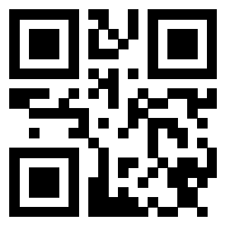 Il Qr Code di 3913236256