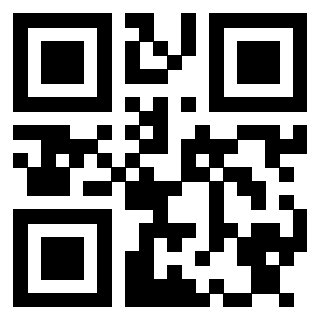 Il Qr Code di 3913236277