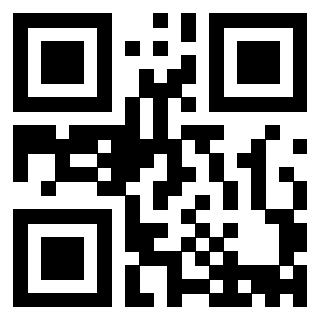 Il Qr Code di 3913236304