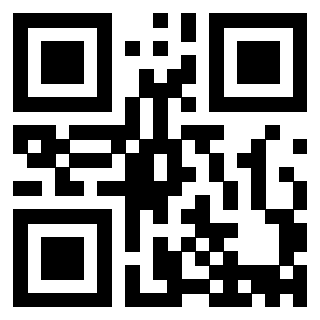 Il Qr Code di 3913236307