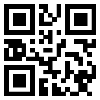 Il Qr Code di 3913236427