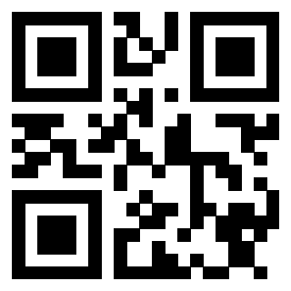 Il Qr Code di 3913236497
