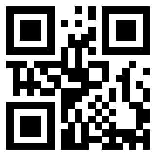 Il Qr Code di 3913236500