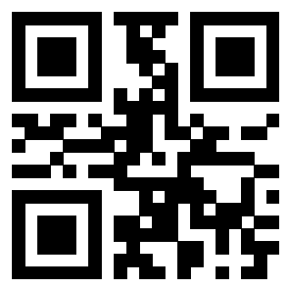 Il Qr Code di 3913236564