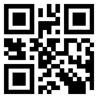 Il Qr Code di 3913236588