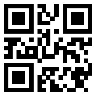 Il Qr Code di 3913236613