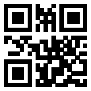 Il Qr Code di 3913236615