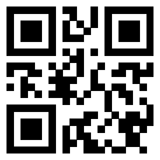 Il Qr Code di 3913236636