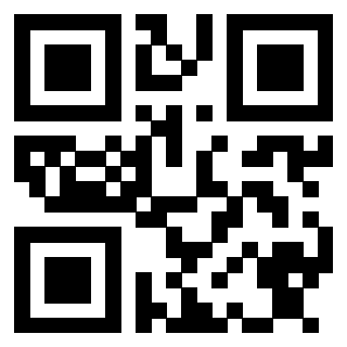 Il Qr Code di 3913236638