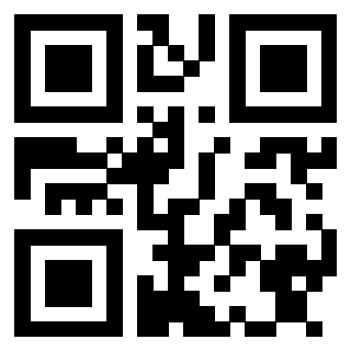 Il Qr Code di 3913236659