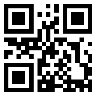 Il Qr Code di 3913236682