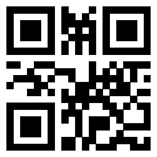 Il Qr Code di 3913236724