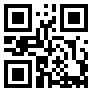 Il Qr Code di 3913236742
