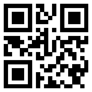Il Qr Code di 3913236789