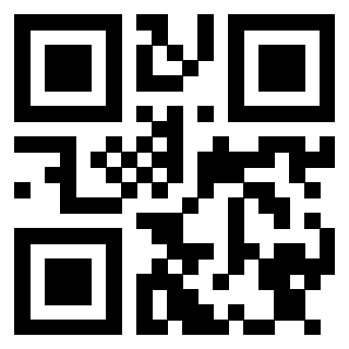 Il Qr Code di 3913236837