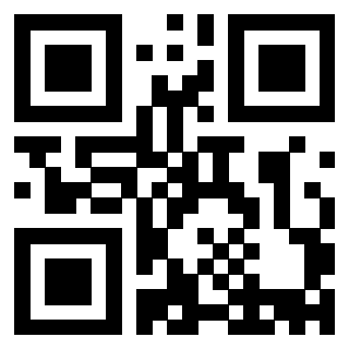 Il Qr Code di 3913236978