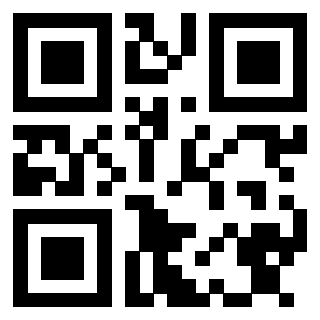 Il Qr Code di 3913237012