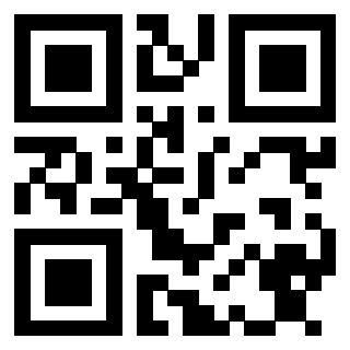 Il Qr Code di 3913237028