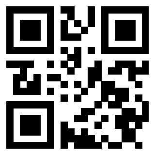 Il Qr Code di 3913283740