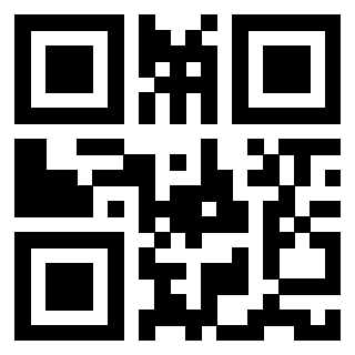 Il Qr Code di 3913283821