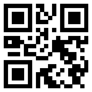 Il Qr Code di 3913283852