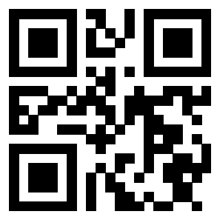 Il Qr Code di 3913283877