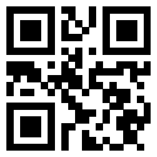 3913283893 QrCode associato