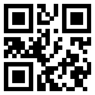 Il Qr Code di 3913283955