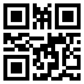 Il Qr Code di 3913283967