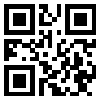 Il Qr Code di 3913284019