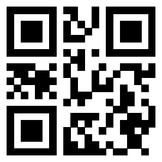 Il Qr Code di 3913284043