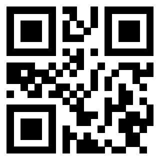 QrCode di 3913284067