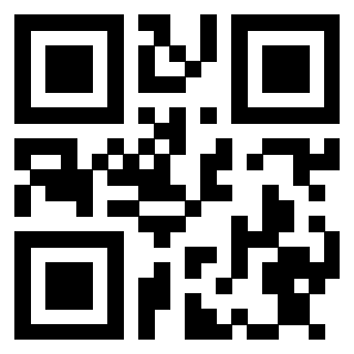 Il Qr Code di 3913284137
