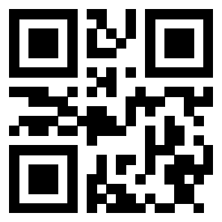 Il Qr Code di 3913284297