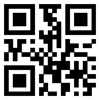 Il Qr Code di 3913284305