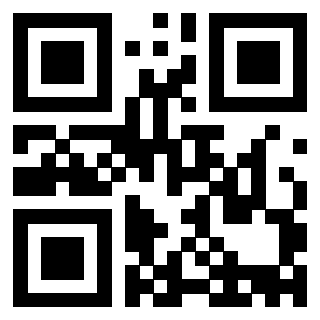 Il Qr Code di 3913284316
