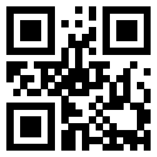 Il Qr Code di 3913284320
