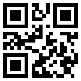 Il Qr Code di 3913284328