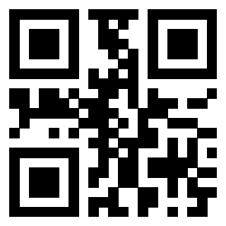 Il Qr Code di 3913284332