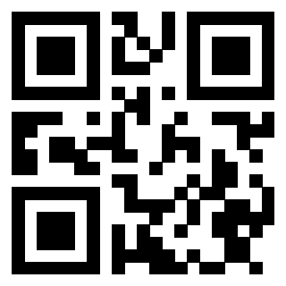 Il Qr Code di 3913284371