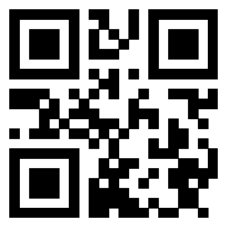 QrCode di 3913284376