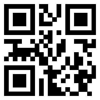 Il Qr Code di 3913284470
