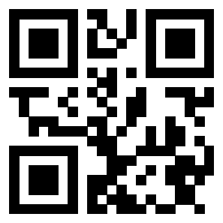 Il Qr Code di 3913284474