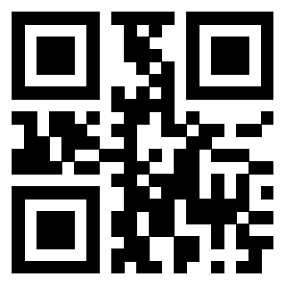 Il Qr Code di 3913284554